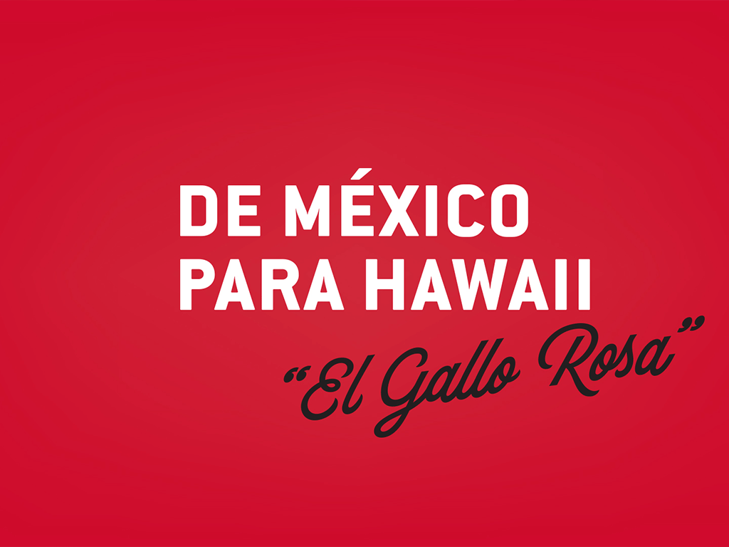 El Gallo Rosa